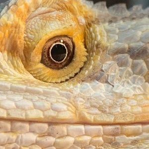 Meet your Posher, Zane